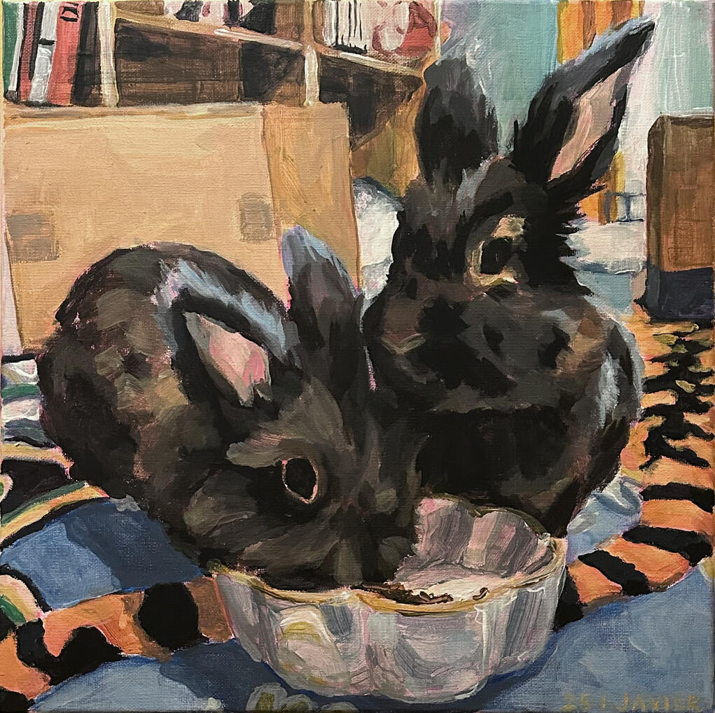 Portrait of two gray/brown rabbits eating from a white bowl on a colorful carpet. There are a couple cardboard boxes in the mid ground and book shelves further back.
